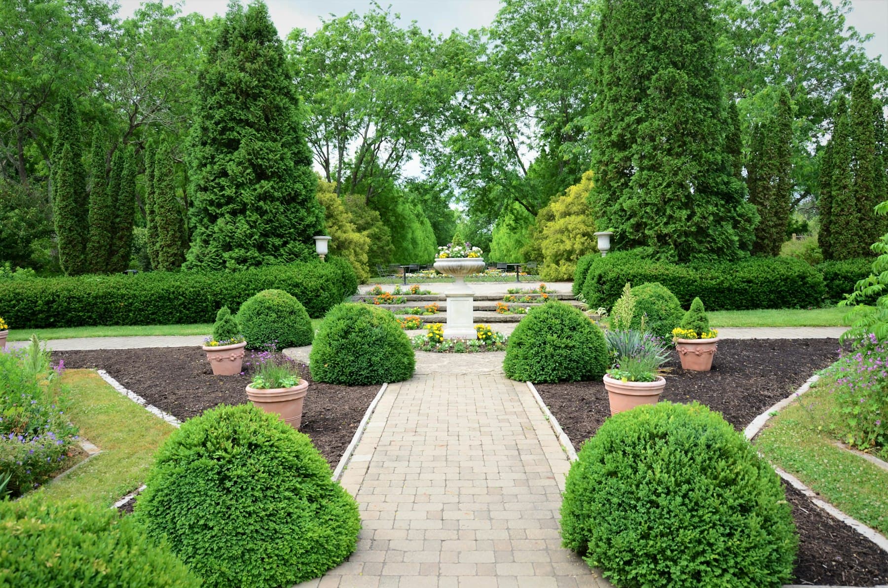 Formal garden installation with a brick paver walkway, clipped boxwood spheres, terra cotta planters, and fresh mulch beds