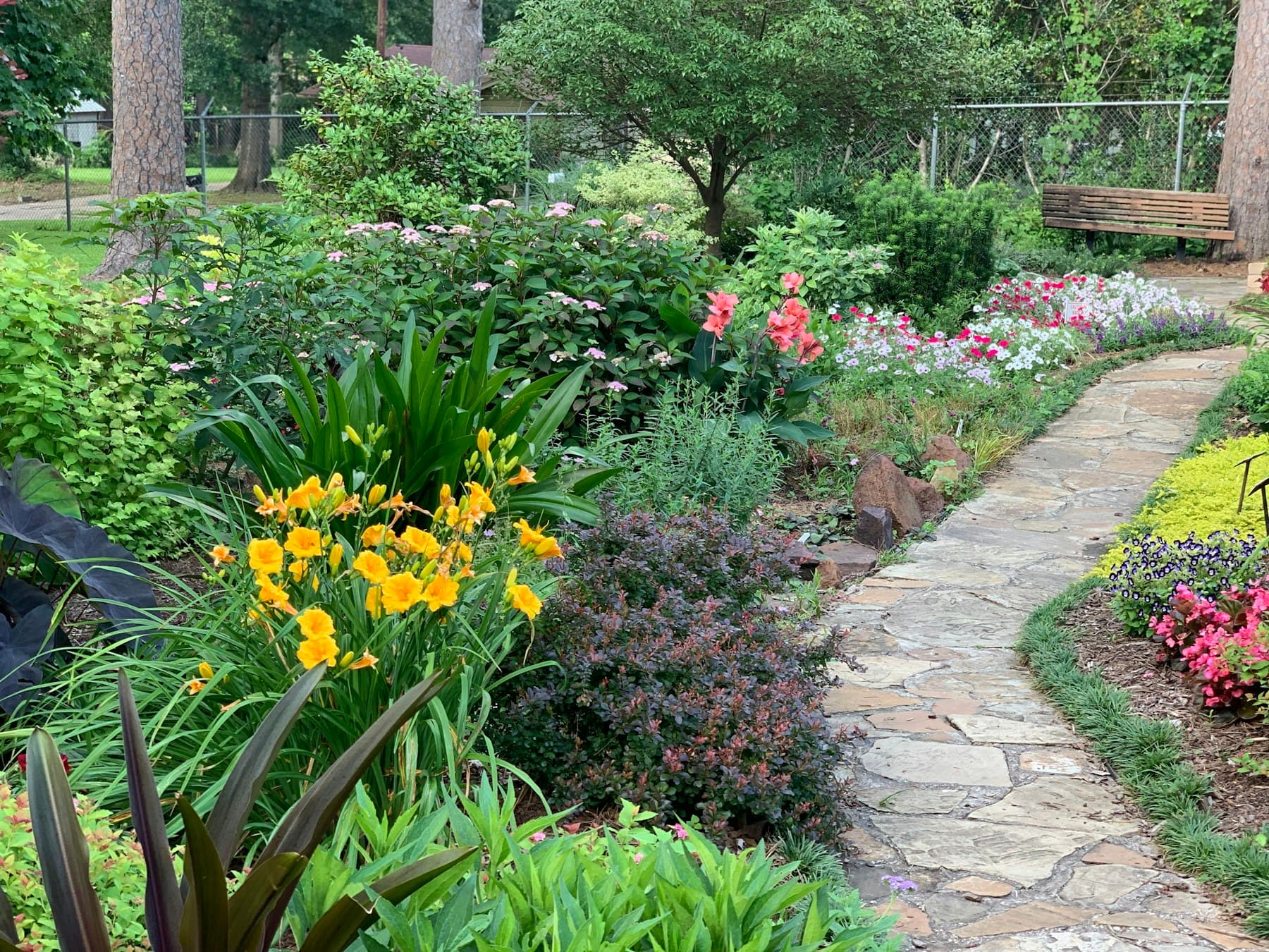 Flagstone garden path curving between perennial beds of yellow daylilies and pink snapdragons