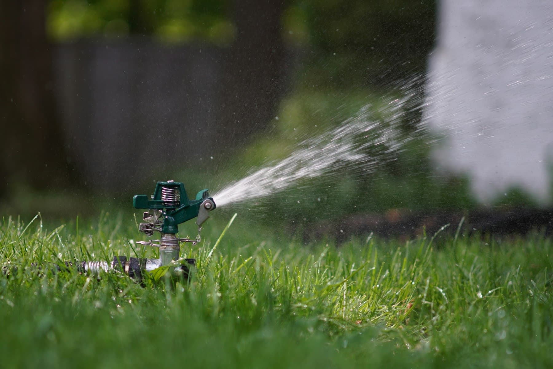 Drip irrigation system installed in a landscape bed