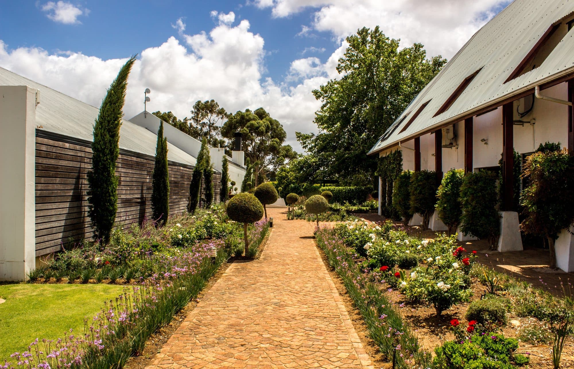 Brick garden pathway lined with roses and clipped topiary