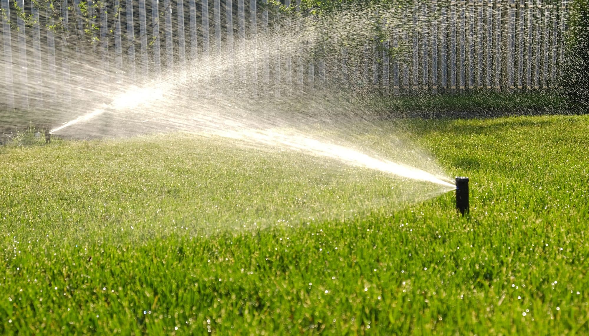 Sprinklers watering a natural lawn — the maintenance turf eliminates