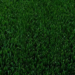 Sod — variety option sample 04
