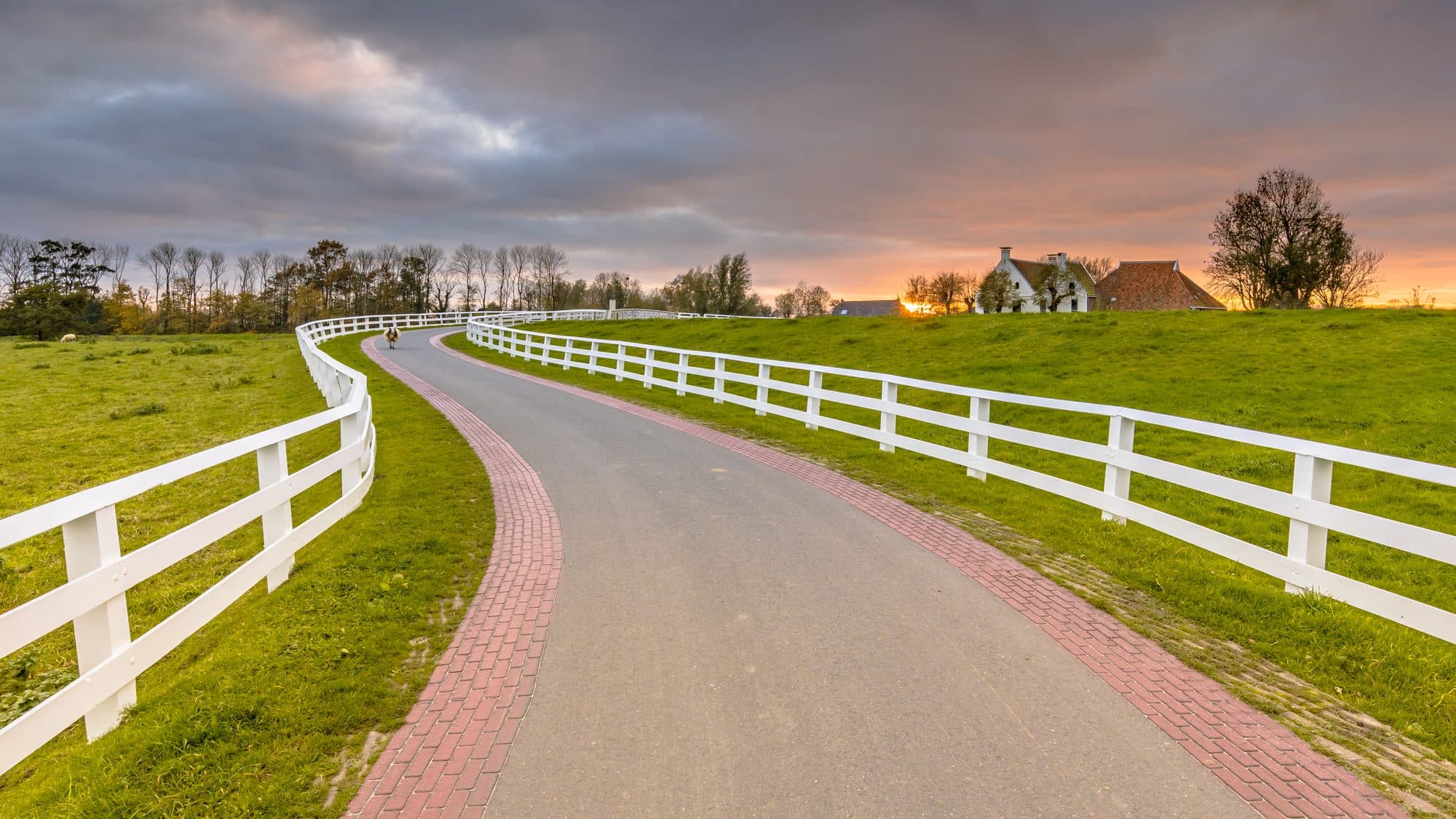 White ranch-rail fence lining a curved country lane at sunset